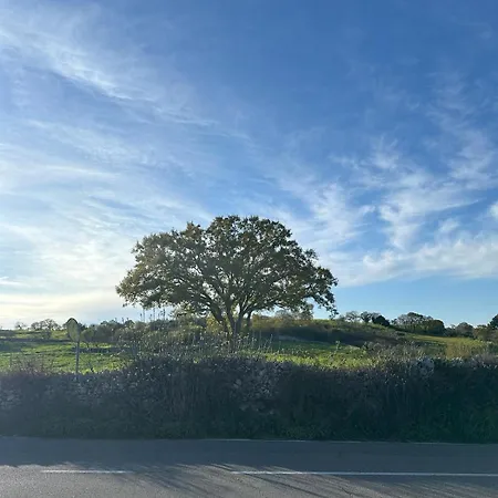 Intini Locazione Turistica Semesterbostad Noci