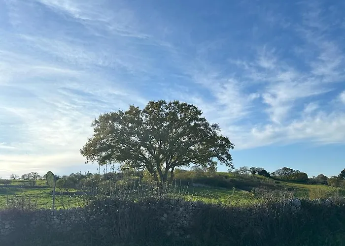 Intini Locazione Turistica Vakantiehuis Noci